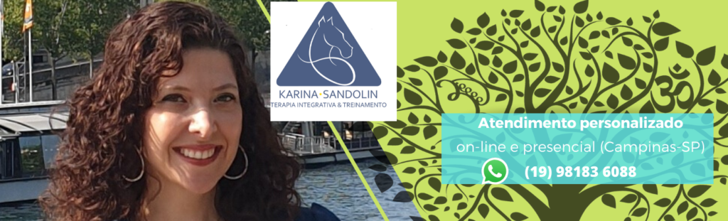 Karina Sandolin Terapeuta